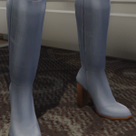 Madlen Bellanza Boots 1.0