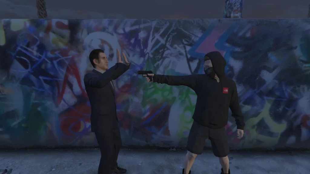 The North Face Hoodie 1.0