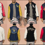 Bomber jacket for MP Male [FiveM / SP] 1.0