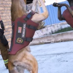 German Shepherd Police Skins 1.1