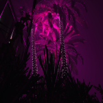 Glowing Palms 1.0