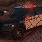 LSPP - Los Santos Port Police Pack 1.0