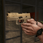 SIG Sauer P320 RXP Compact