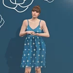 Starry Chiffon Dress