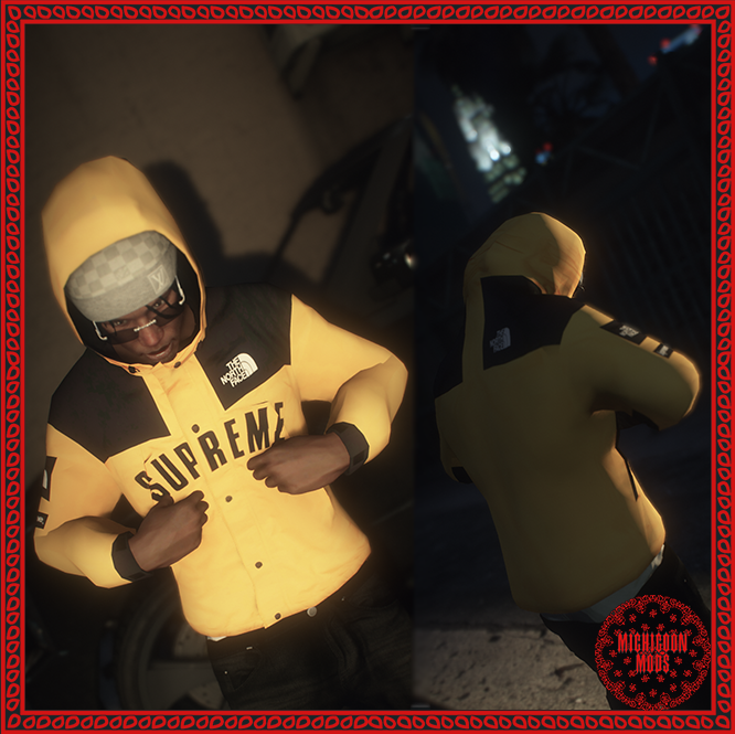 Supreme x The North Face Goretex Jacket for MP Male 1.0 – GTA 5 mod