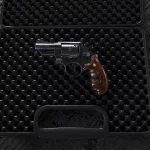 S&W Model 657 1.0