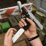 Beretta Pico V1.0