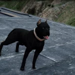 New Pitbull Textures 1.0