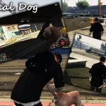 Personal Dog V4.4
