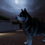 Personal Dog V4.4