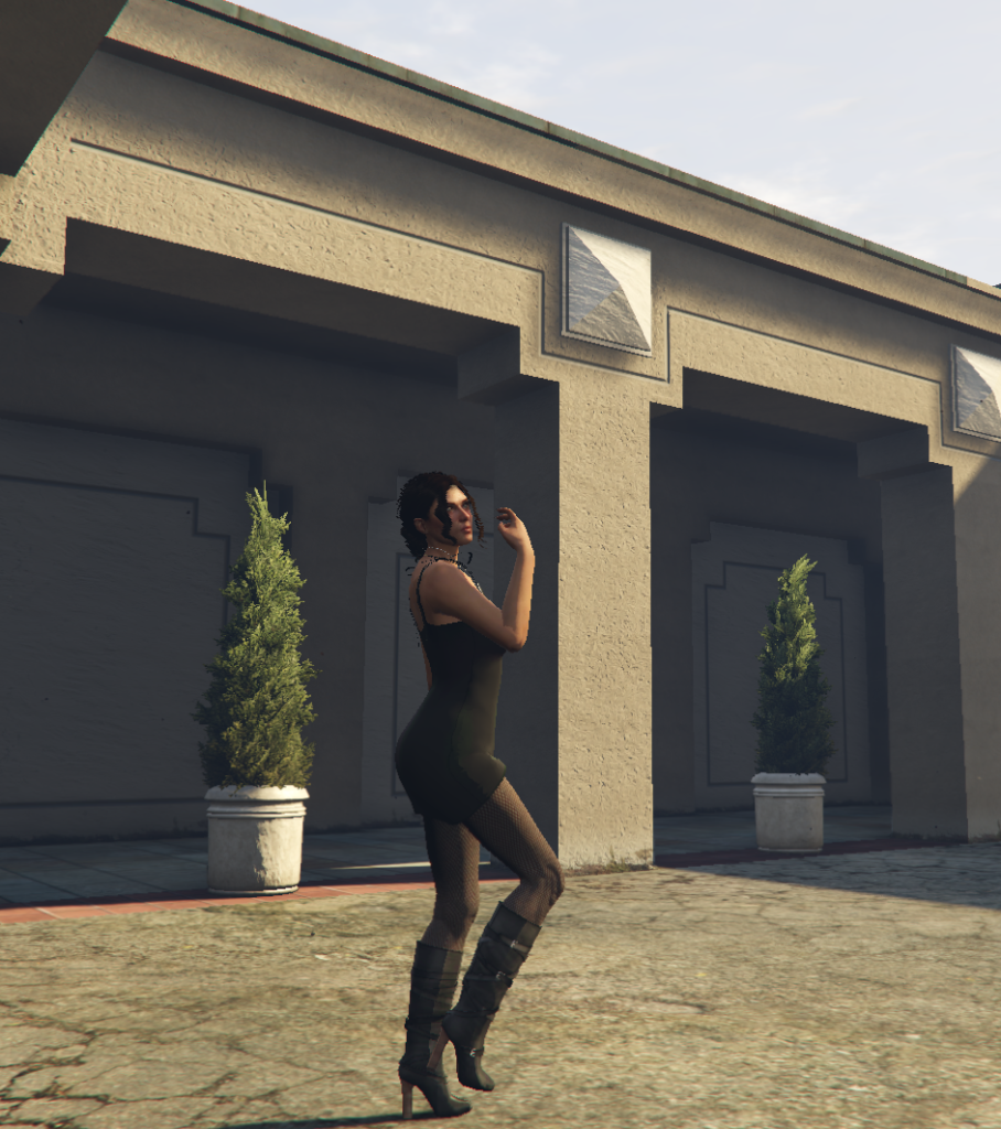 Pose Pack Animation 1.0 [Add-On / FiveM] 