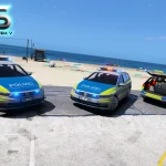 VW Passat B8 Polizei & Zoll V1.0