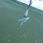 Mermaid [Add-On Ped] V1.0