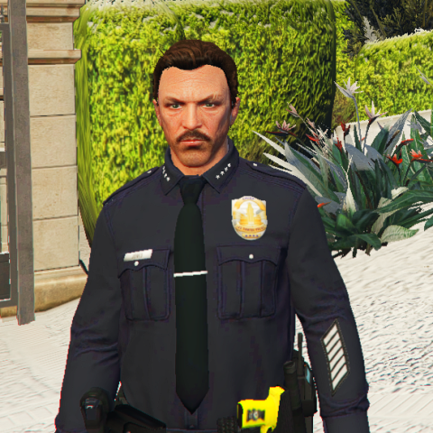 LSPD/LSSD/SAHP Service Stripes for MP Male V1.0 – GTA 5 mod