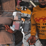 Sweater For MP Male