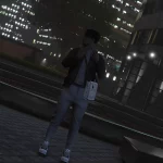 Different Animations for MP Male / Female v7.0