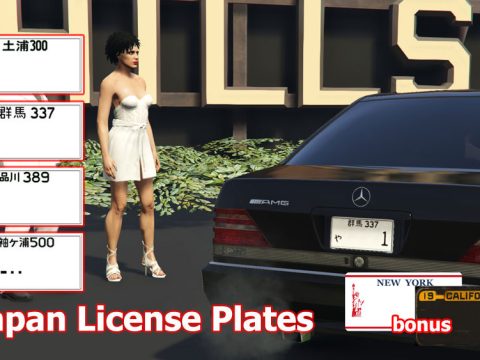 Japan License Plates + NY New York, Old California for Hot Rod