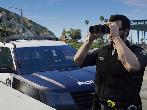 LSPD EUP Mini Pack (Hamburg NY Based) V1.0