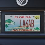 Real Florida License Plates Pack [Addon & Replace] V1.1
