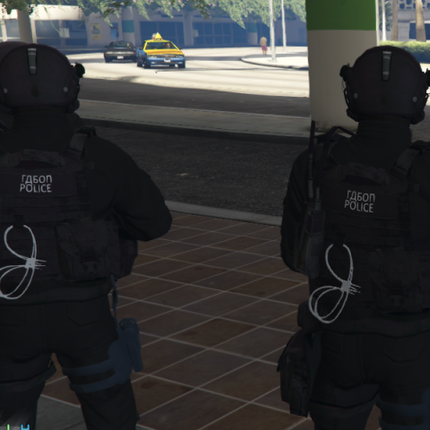 Bulgarian Special Police Forces GDBOP V1.0 (Replace) – GTA 5 mod