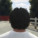 Wavy & Curly Hairstyles For Trevor (SP/FiveM) V1.0
