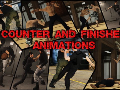 Counter and finisher animations