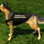 Dutch Police Dog V1.0