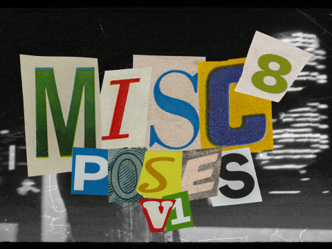Misc Poses V1.0