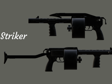 Striker Resident Evil 4