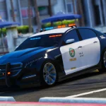 Albany V-STR Police3