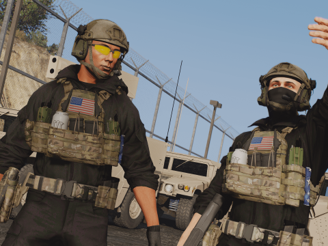 Crye AVS Swimmer Cut L 1.0