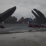 Deep-sea giant scorpion [Add-On] V1.0