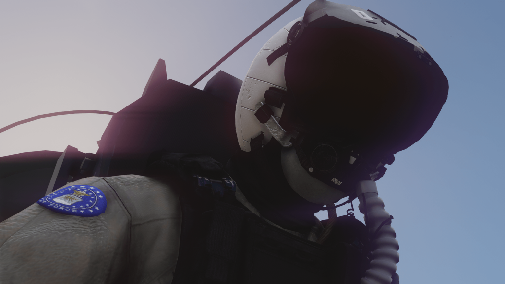 Flight Helmet
