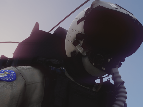 Flight Helmet