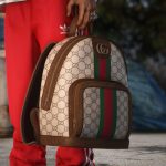 Gucci Bag Ophidia 1.0