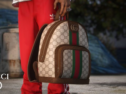 Gucci Bag Ophidia 1.0