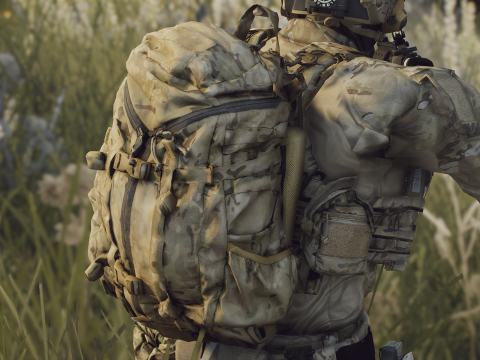 Mystery Ranch 3 Day Assault Pack 1.0