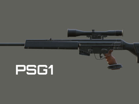 H&K PSG1 + H&K G3SG1 [replace] 1.0