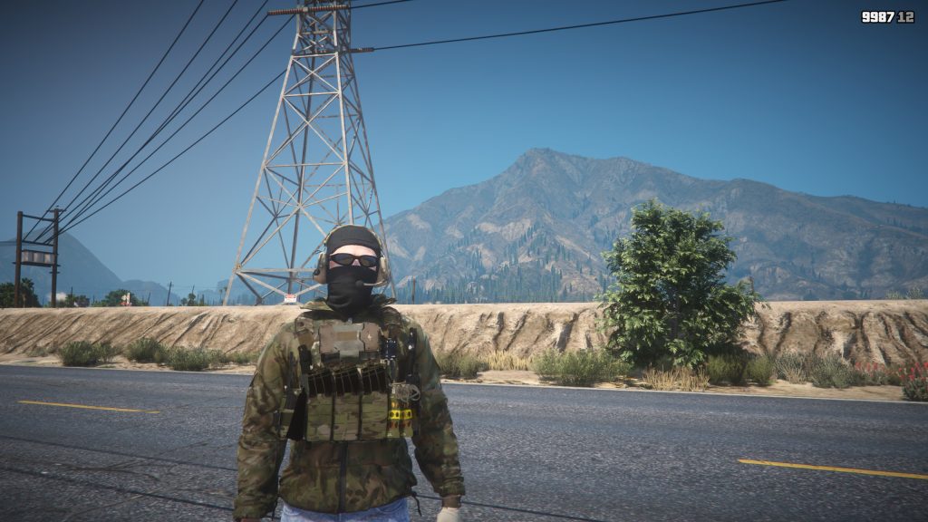 Plate Carrier Vest 1.0