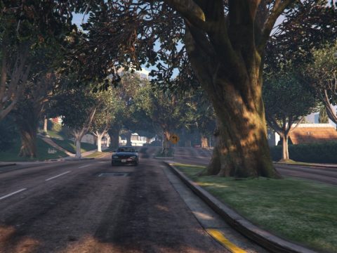 Rockford Hills Trees 1.1