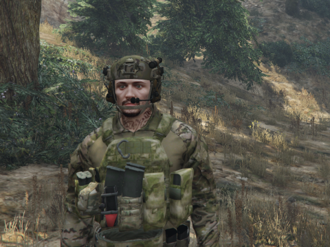 WAS DCS 1.0