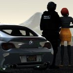 BMW Z482