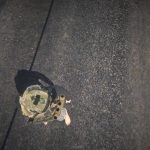 Fast Helmet 1.03