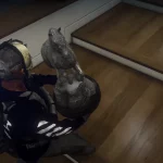 House Robberies 1.33