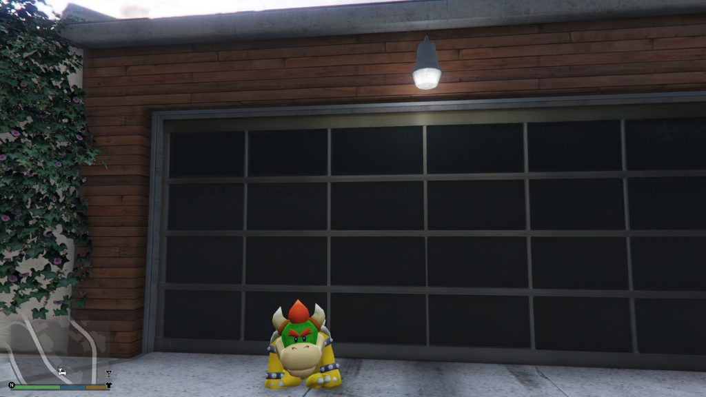 Koopa Kid