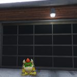 Koopa Kid