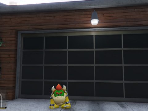 Koopa Kid