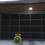 Koopa Kid2