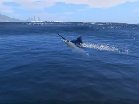 Marlin Fish