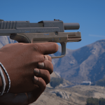 Springfield Armory XD Sub-Compact4